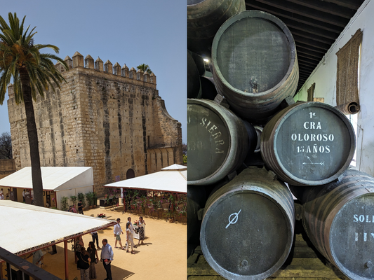 Vinoble 2024, le rendez-vous international des amoureux des vins généreux