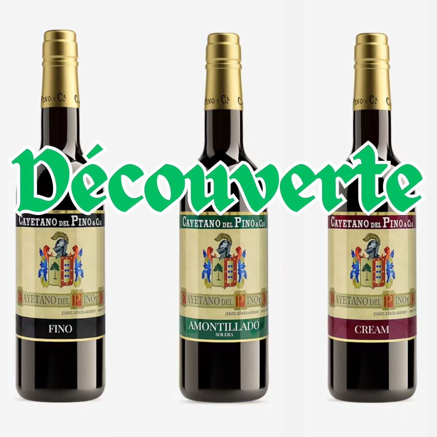 Pack Découverte